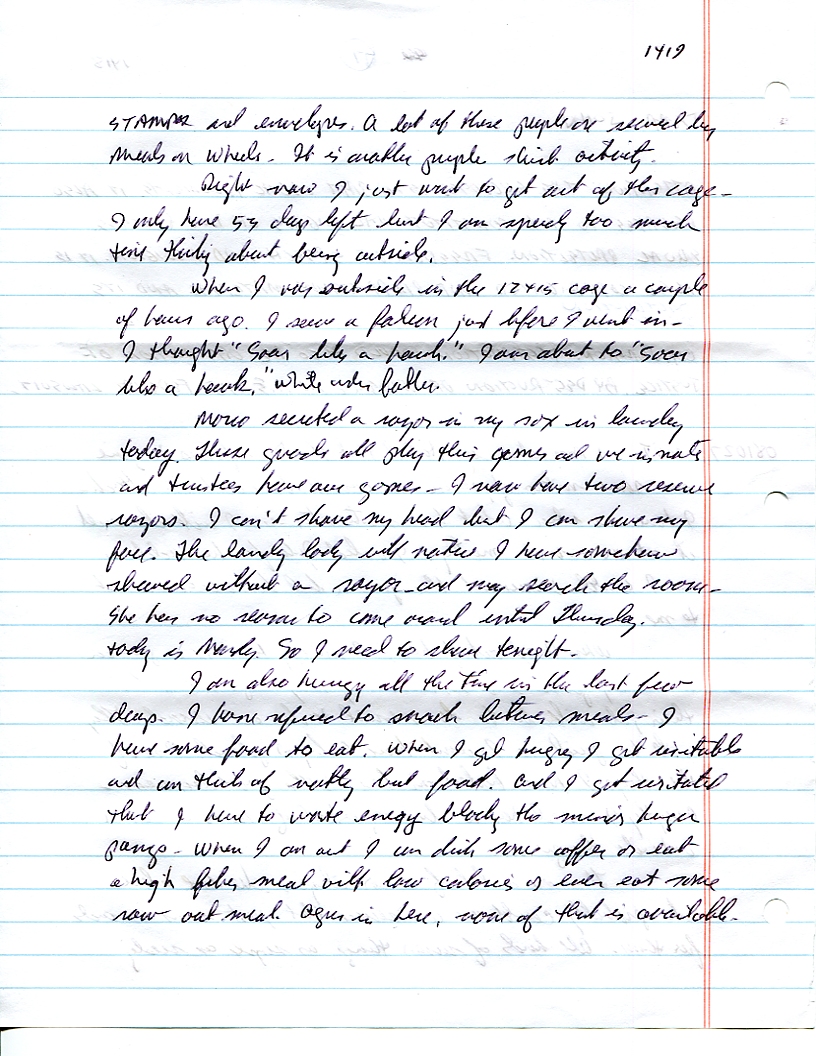 Dr John WorldPeace 2008 Prison Journal